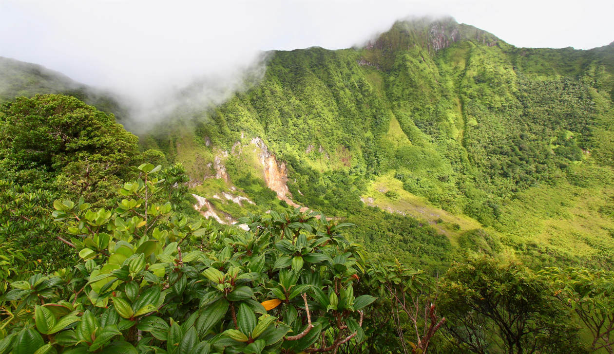 st kitts mount liamuiga 1260