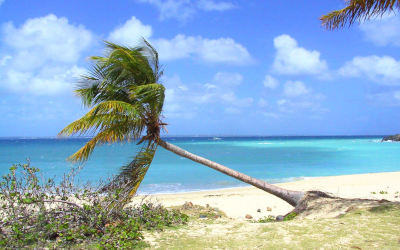 Beaches of St-Maarten